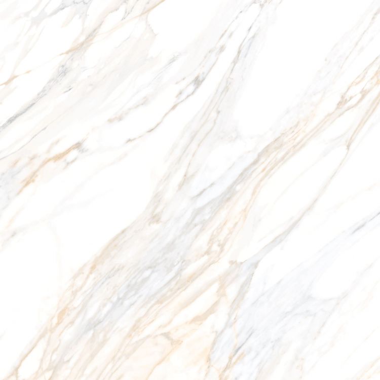 Aurum Calacatta Polished 36 x 36